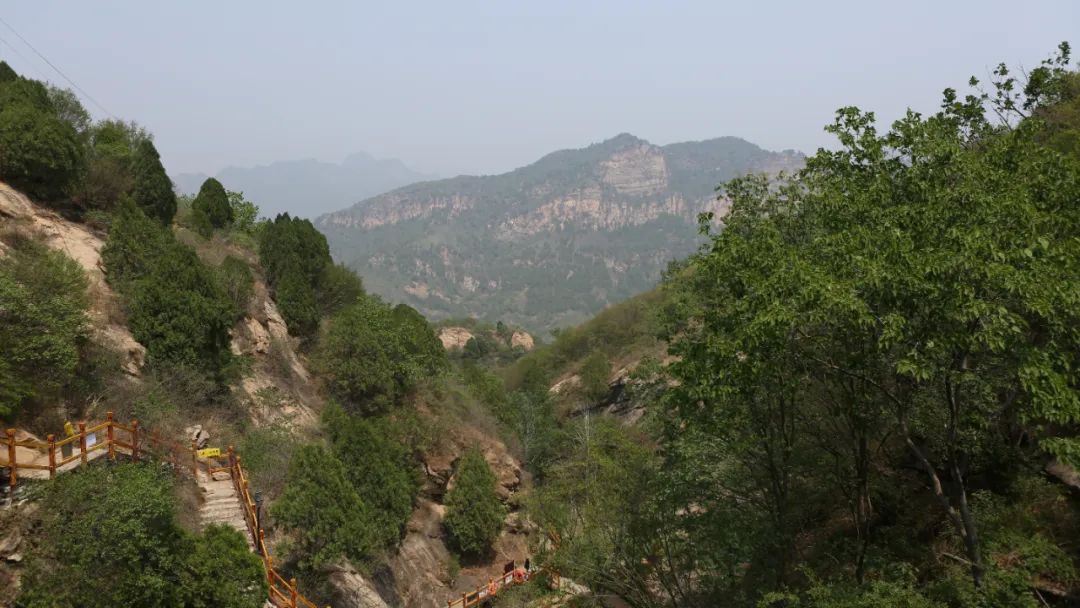 立足當(dāng)“夏”，覓清涼 